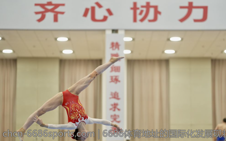 6686体育地址的国际化发展现状